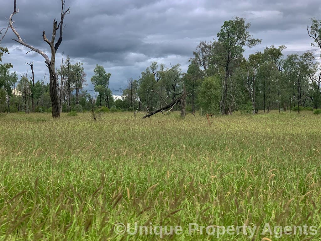 Nine Mile Alpha Tambo Road, Alpha, QLD, 4724, Alpha - Thumbnail 6