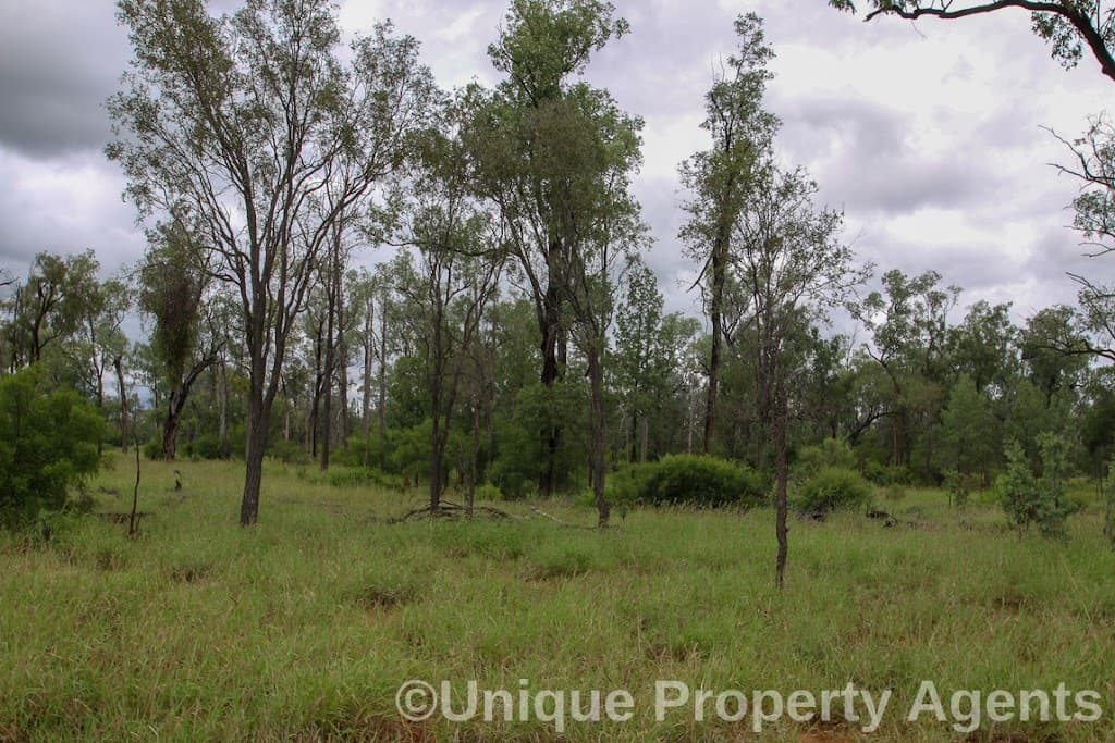 Nine Mile Alpha Tambo Road, Alpha, QLD, 4724, Alpha - Thumbnail 7
