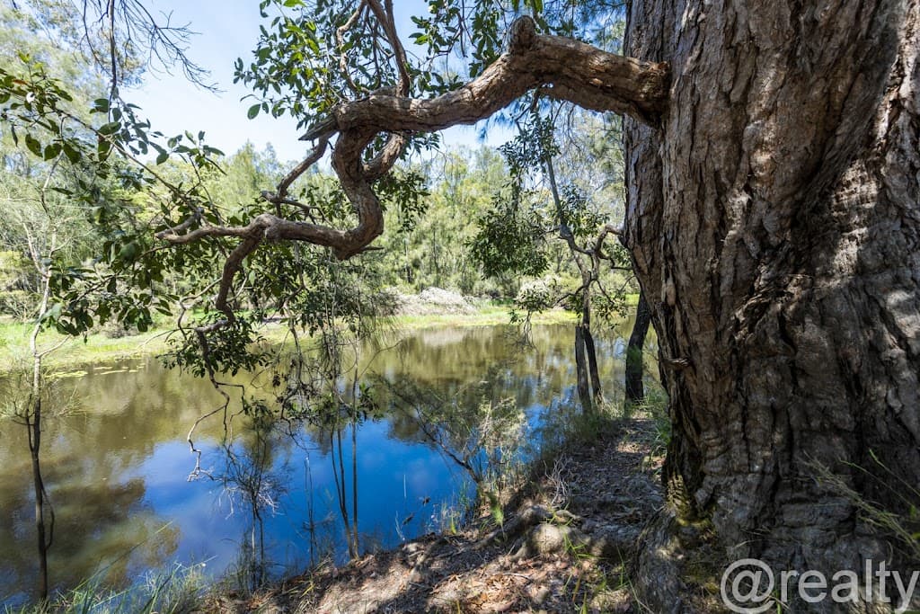 Lot 3/931 Eight Mile Lane, Sandy Crossing, NSW, 2460, Sandy Crossing - Thumbnail 5