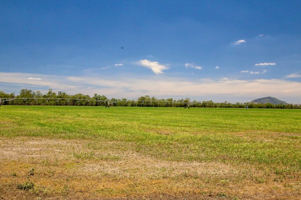 422 Alberta Road, Baralaba, QLD, 4702, Baralaba - Thumbnail 3