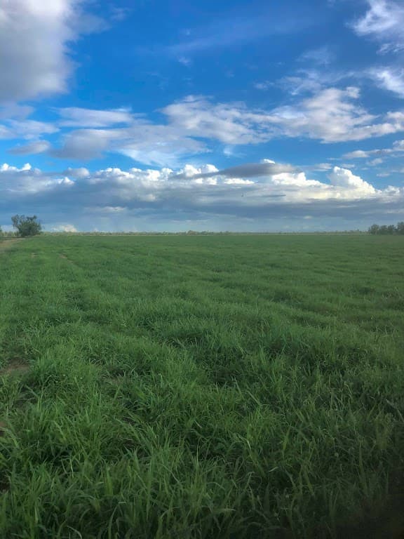 422 Alberta Road, Baralaba, QLD, 4702, Baralaba - Thumbnail 6