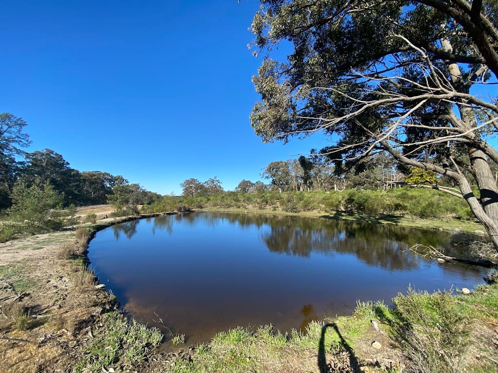 125 Tickner Valley Road, Marulan, NSW, 2579, Marulan - Thumbnail 5