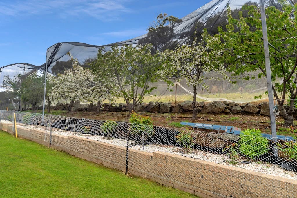 125 Tickner Valley Road, Marulan, NSW, 2579, Marulan - Thumbnail 8