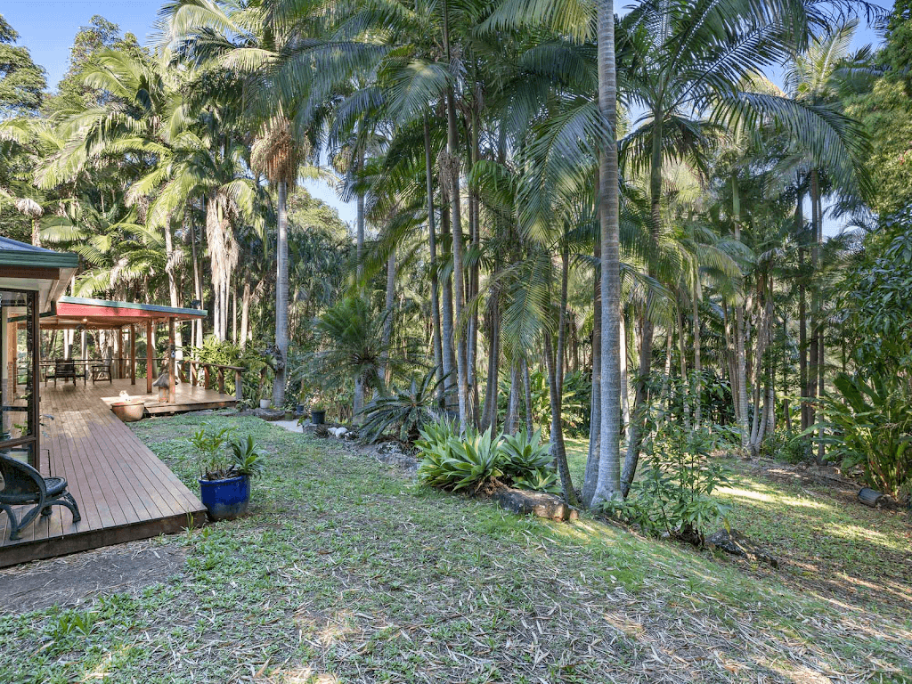 115 Brushbox Drive, Mullumbimby Creek, NSW, 2482, Mullumbimby Creek - Thumbnail 2