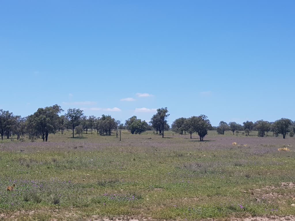 Lot 10 Rockdale Road, Karara, QLD, 4352, Karara - Thumbnail 6