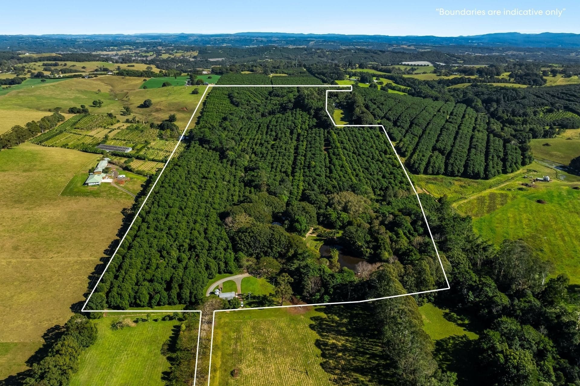 493 Friday Hut Road, Brooklet NSW, Brooklet - Image 1