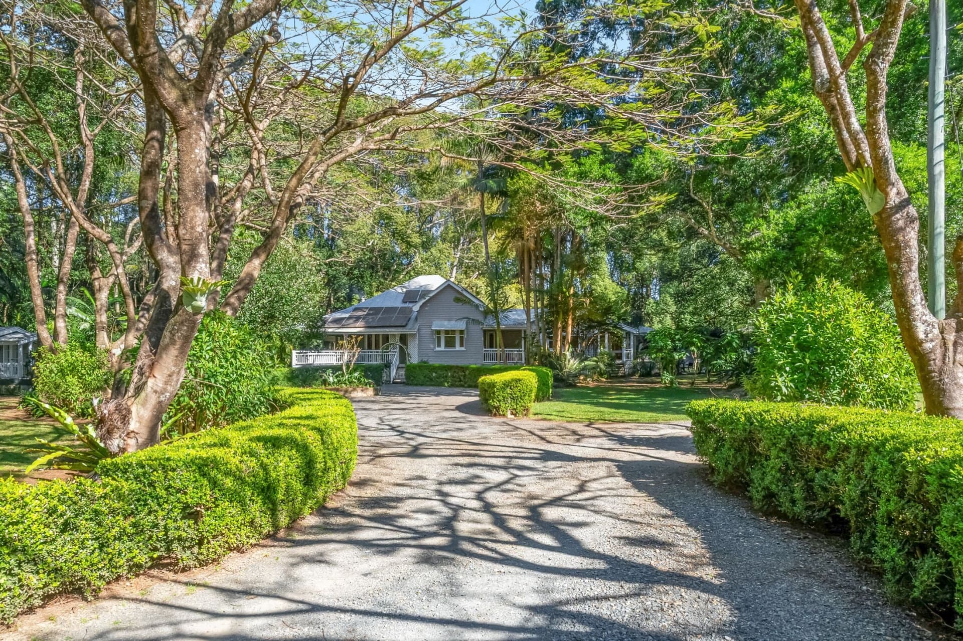 493 Friday Hut Road, Brooklet NSW, Brooklet - Thumbnail 2
