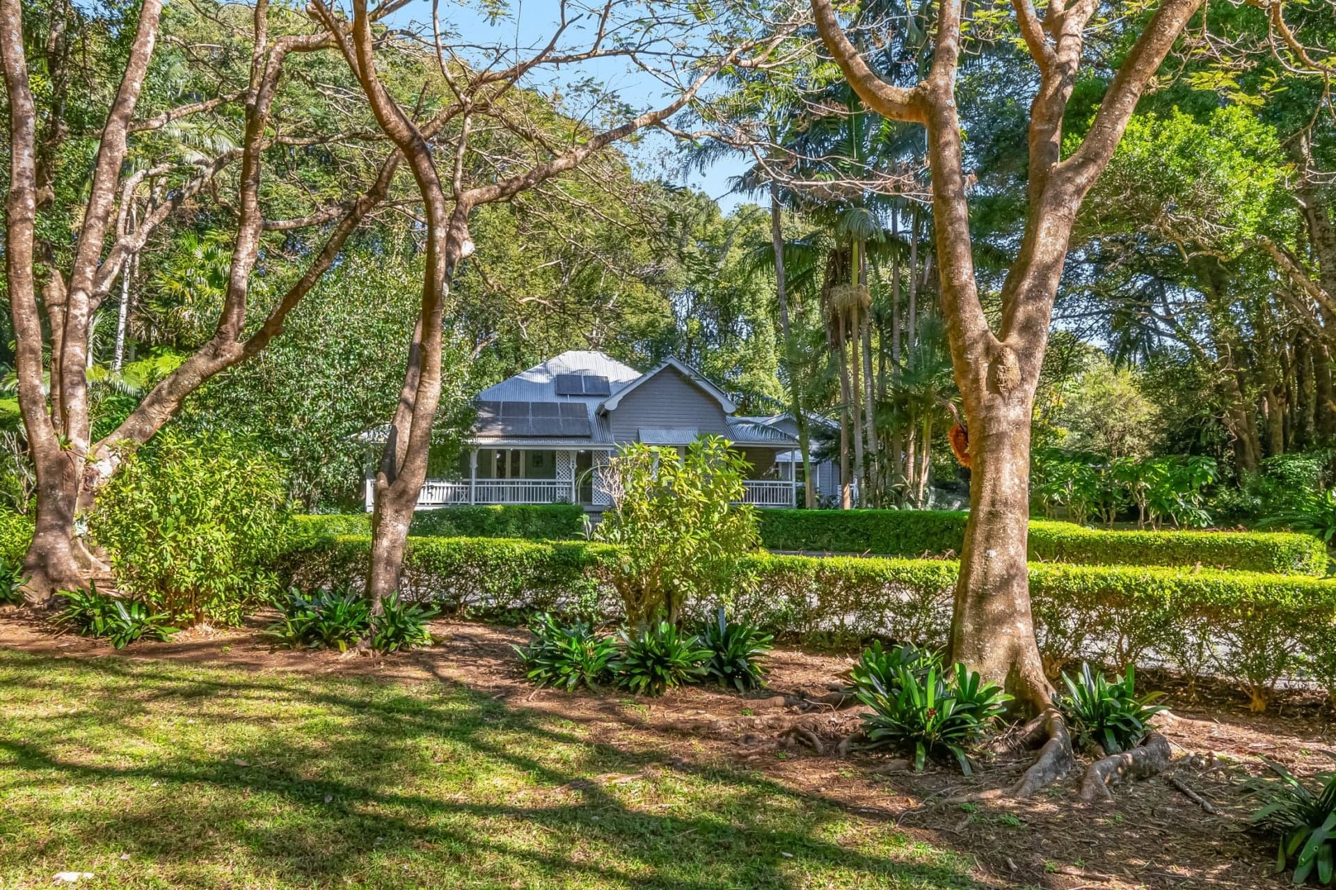 493 Friday Hut Road, Brooklet NSW, Brooklet - Thumbnail 3