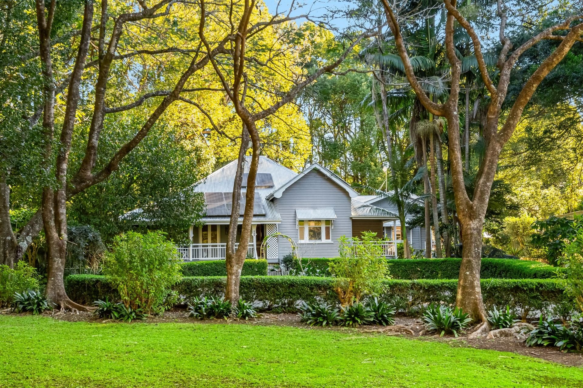 493 Friday Hut Road, Brooklet NSW, Brooklet - Thumbnail 4