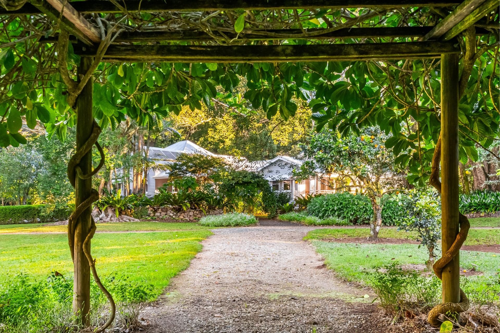 493 Friday Hut Road, Brooklet NSW, Brooklet - Thumbnail 5