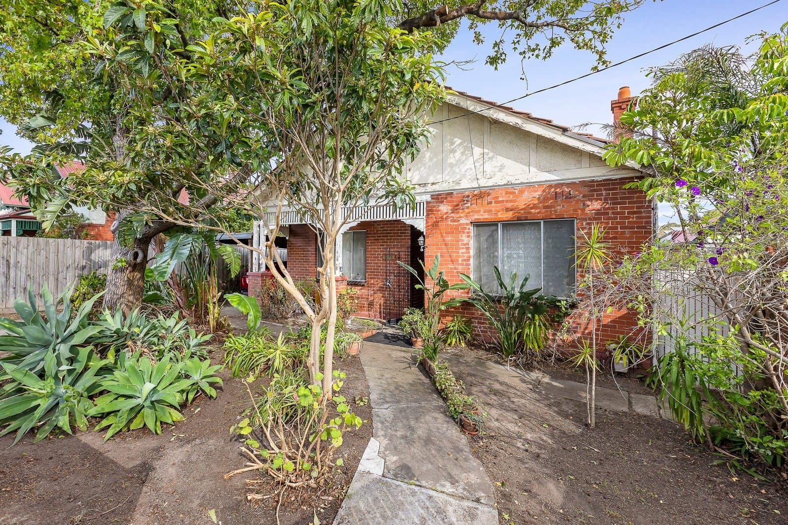 38 Campbell Grove, Hawthorn East - Thumbnail 4