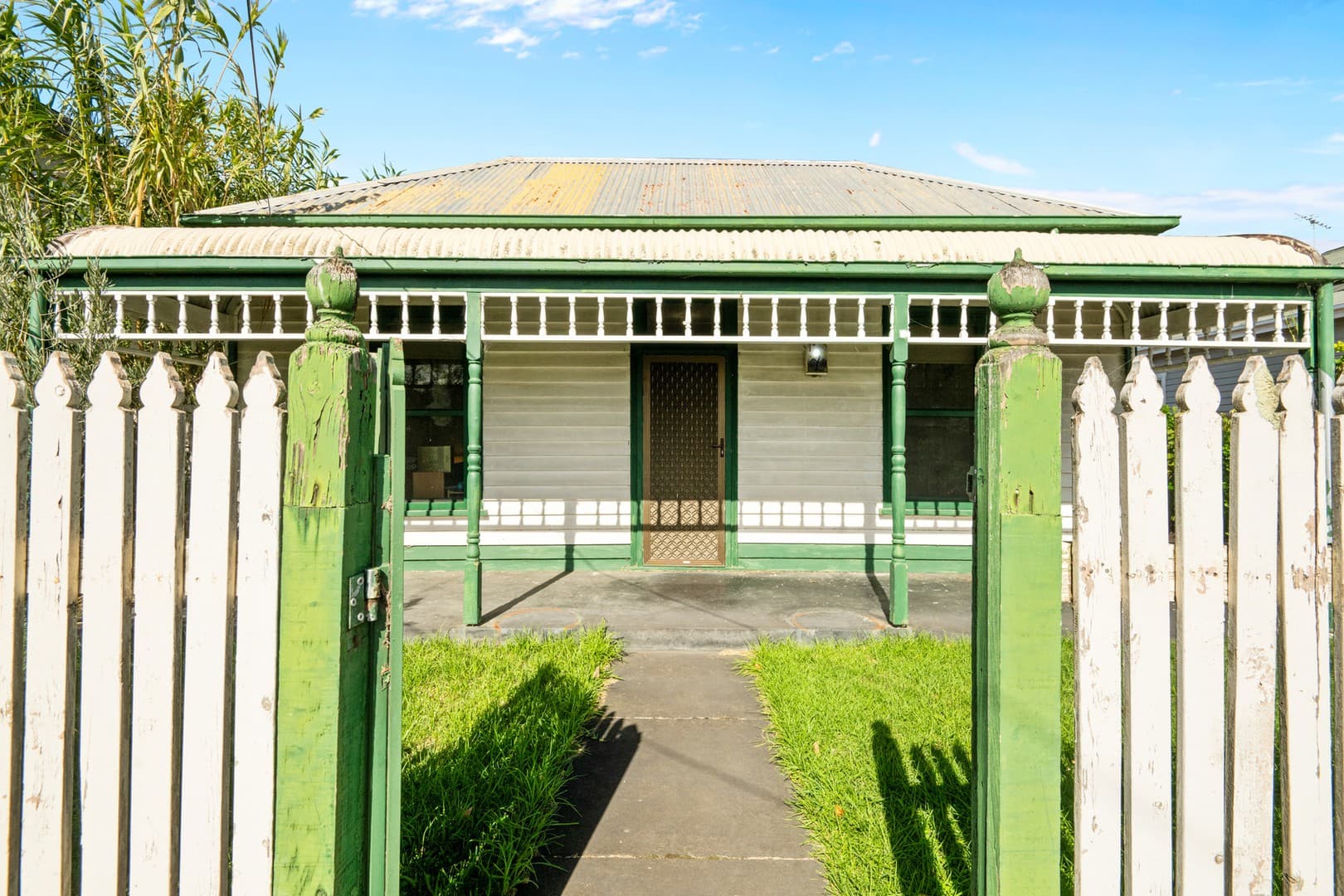 19 Bond Street, Newtown, VIC 3220, Newtown - Thumbnail 2