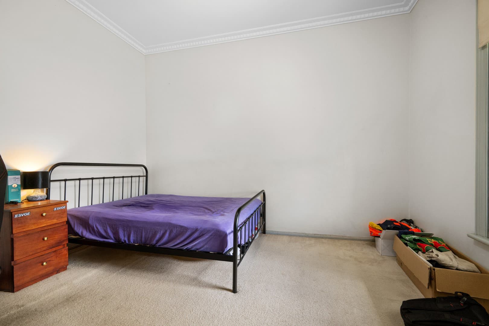 19 Bond Street, Newtown, VIC 3220, Newtown - Thumbnail 7