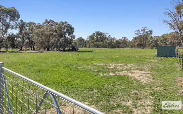 19 Sanctuary Lane, Ettamogah, NSW, 2640, Ettamogah - Thumbnail 5