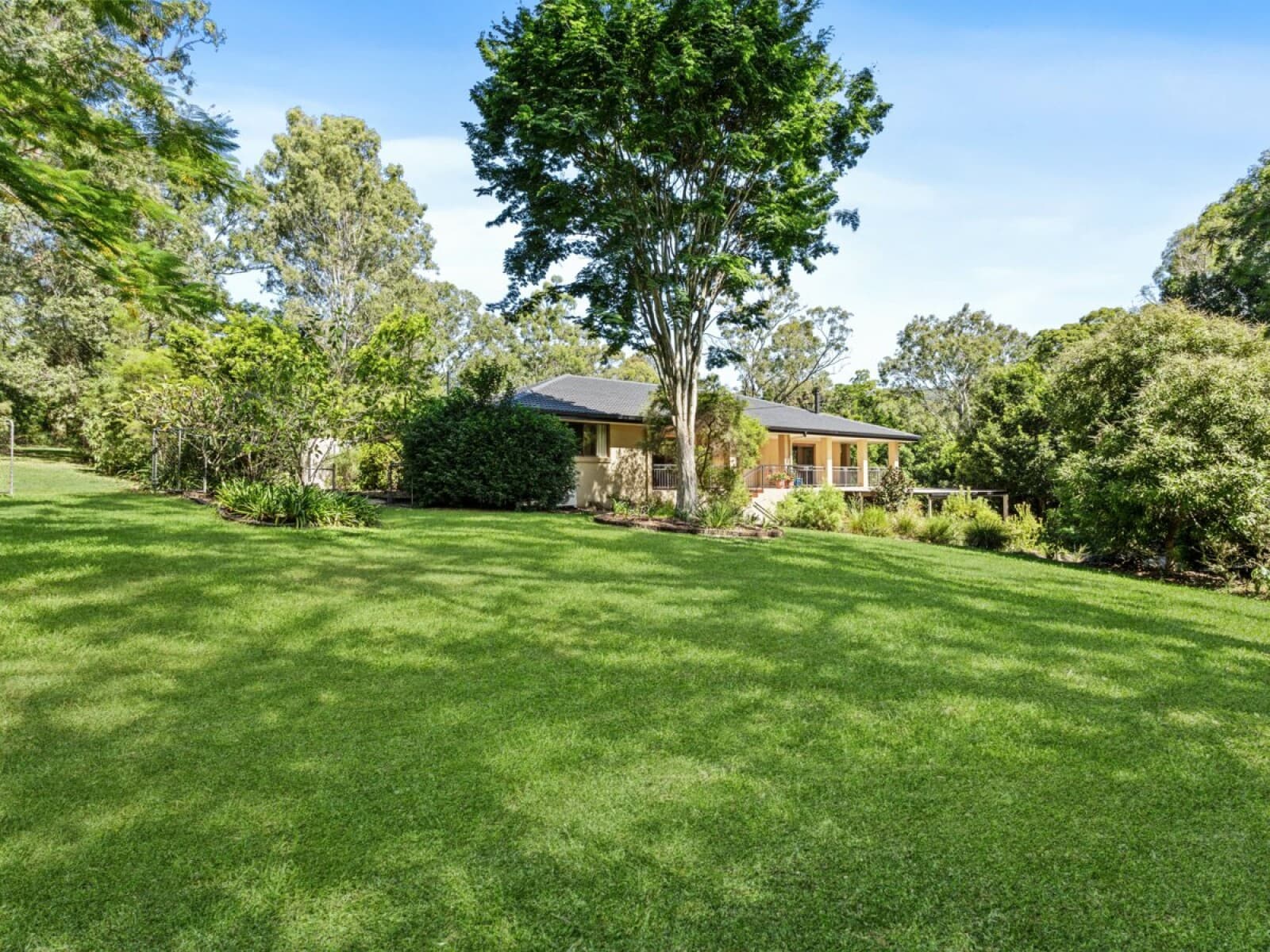145a Worongary Road Tallai QLD 4213, Tallai - Thumbnail 7