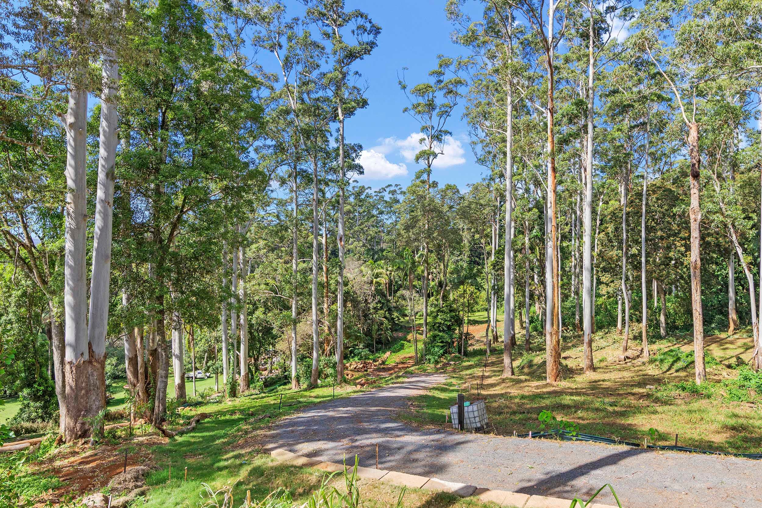 78 Long Road, TAMBORINE MOUNTAIN QLD 4272, Tamborine Mountain - Thumbnail 4