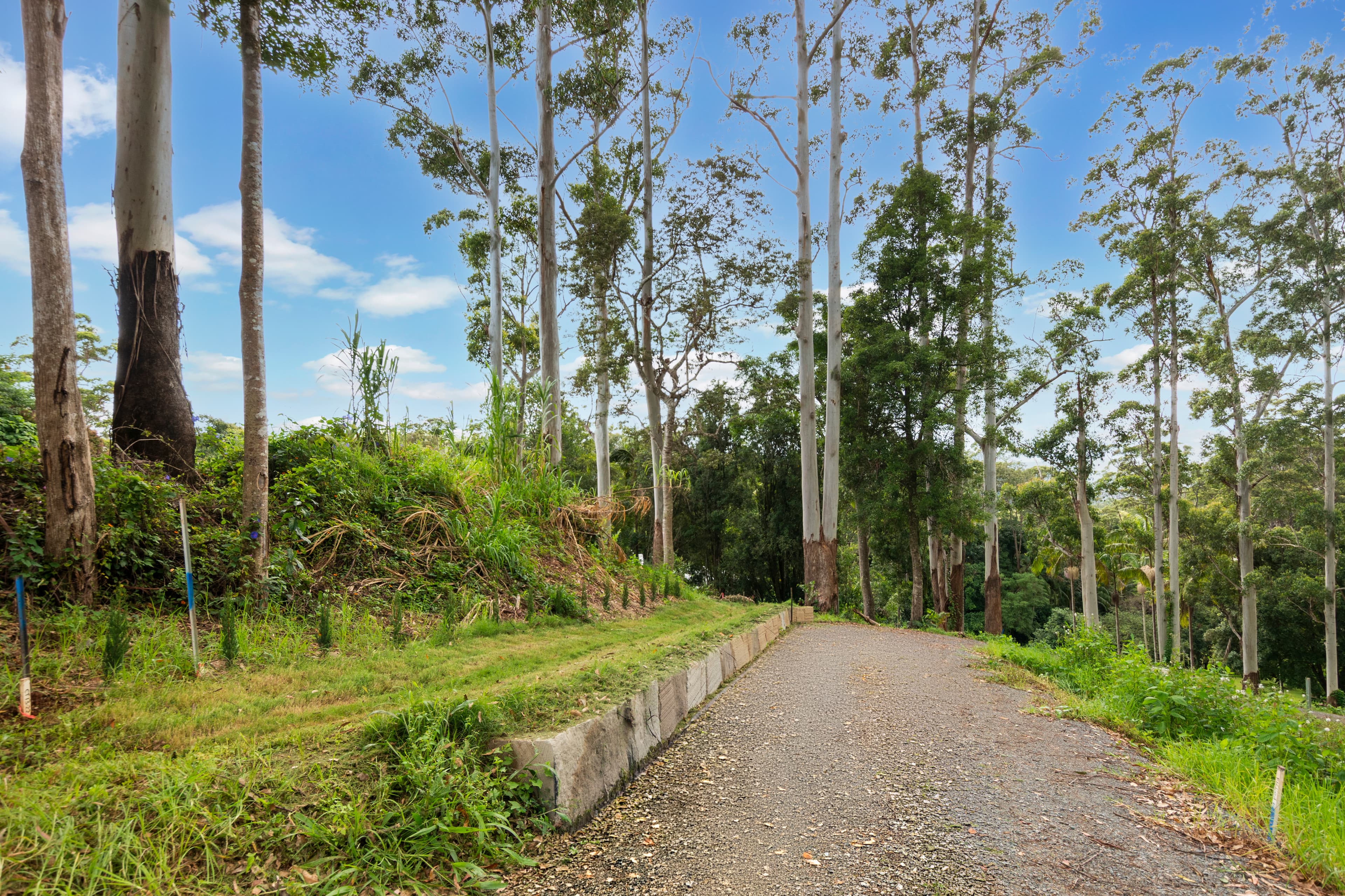 78 Long Road, TAMBORINE MOUNTAIN QLD 4272, Tamborine Mountain - Thumbnail 6
