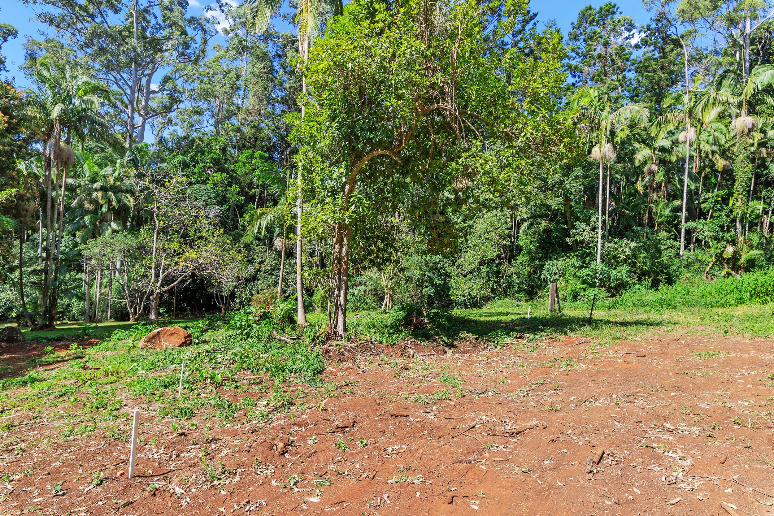78 Long Road, TAMBORINE MOUNTAIN QLD 4272, Tamborine Mountain - Thumbnail 7