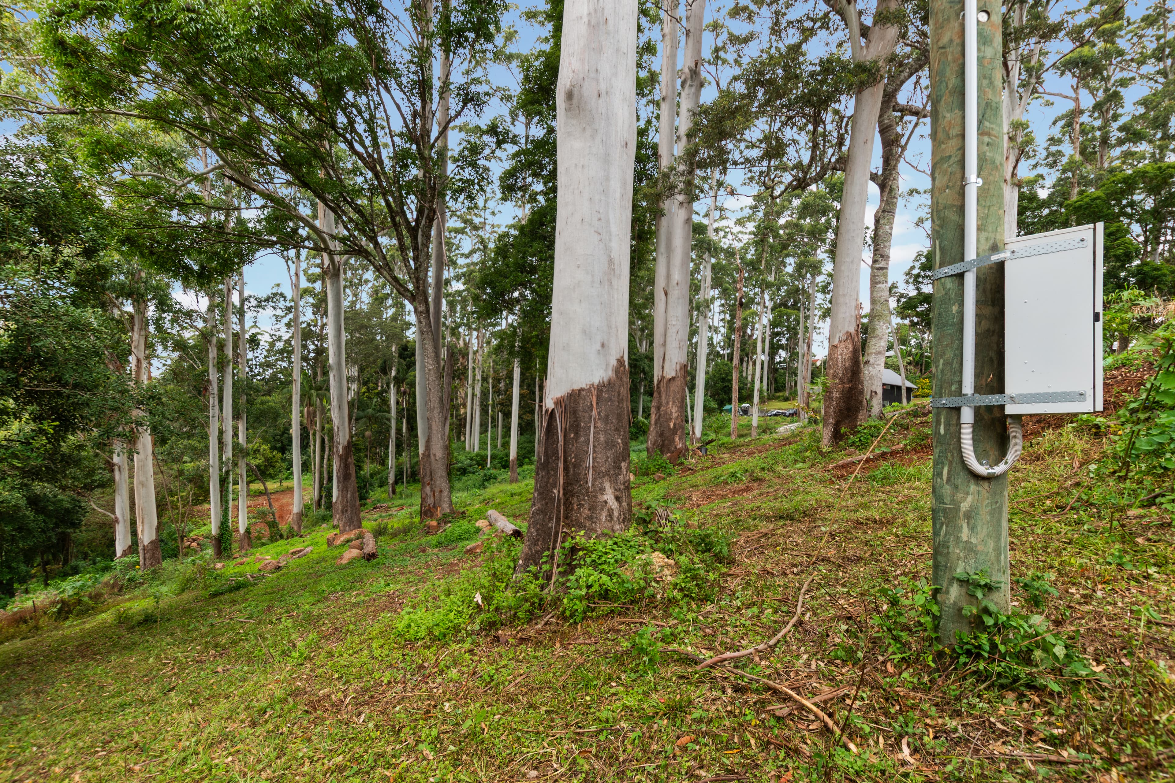 78 Long Road, TAMBORINE MOUNTAIN QLD 4272, Tamborine Mountain - Thumbnail 8