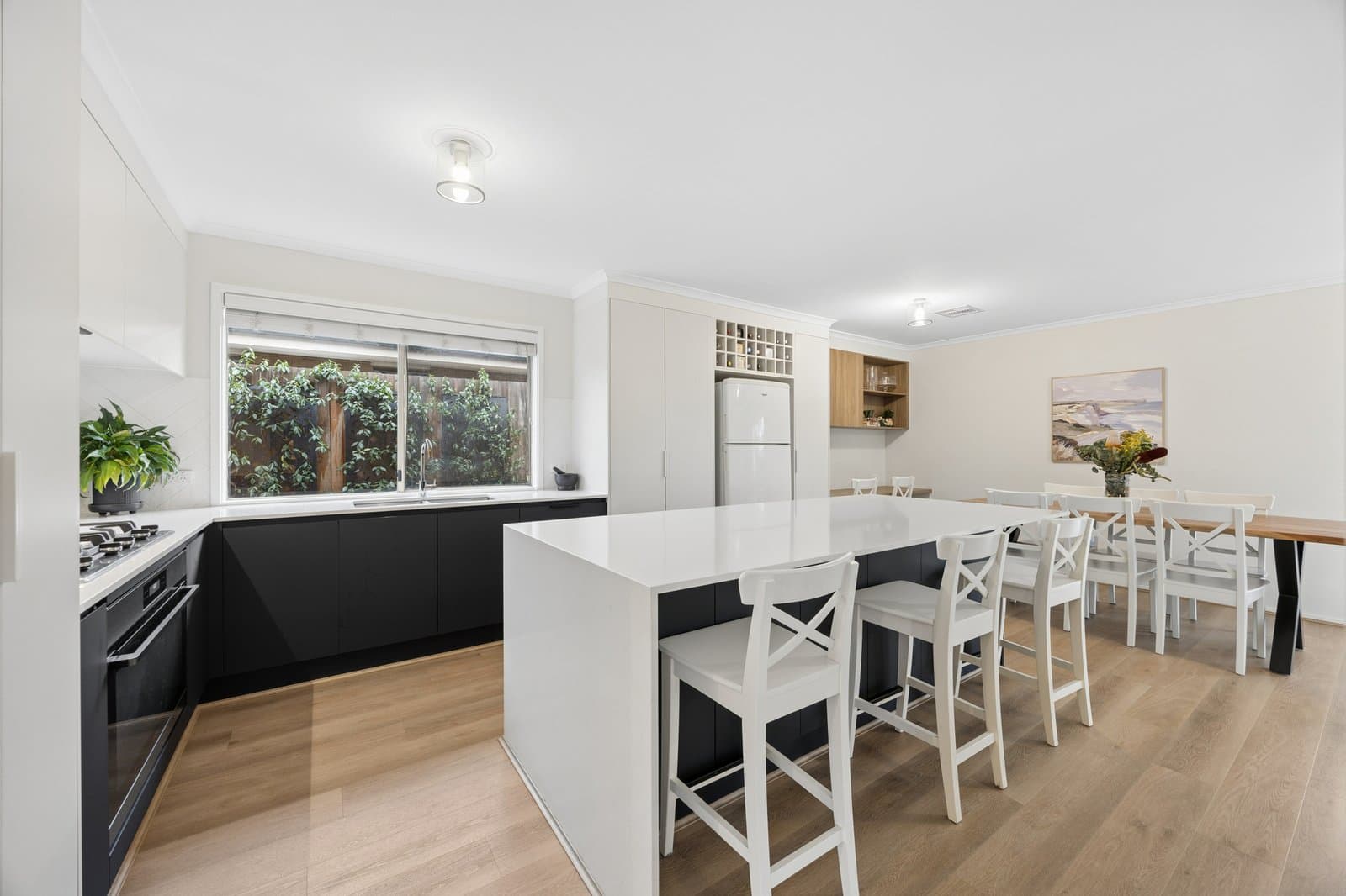 91 Kearney Drive, Aspendale Gardens, Aspendale Gardens - Thumbnail 4