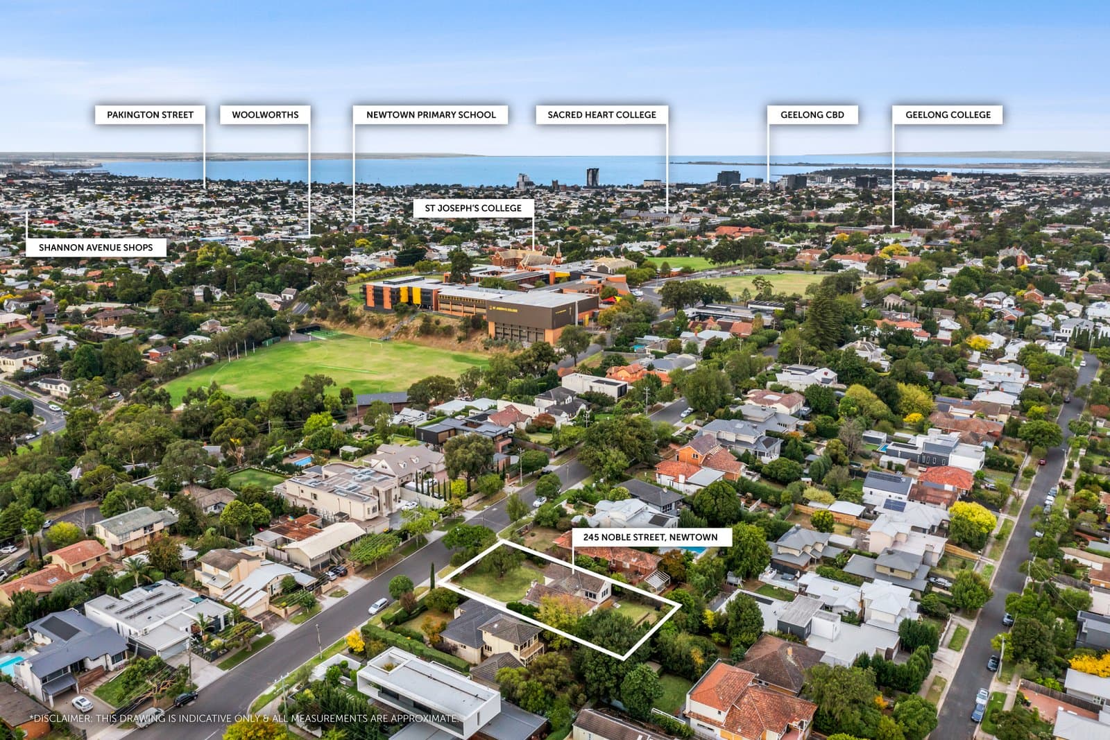 245 Noble Street, Newtown, Newtown - Thumbnail 8
