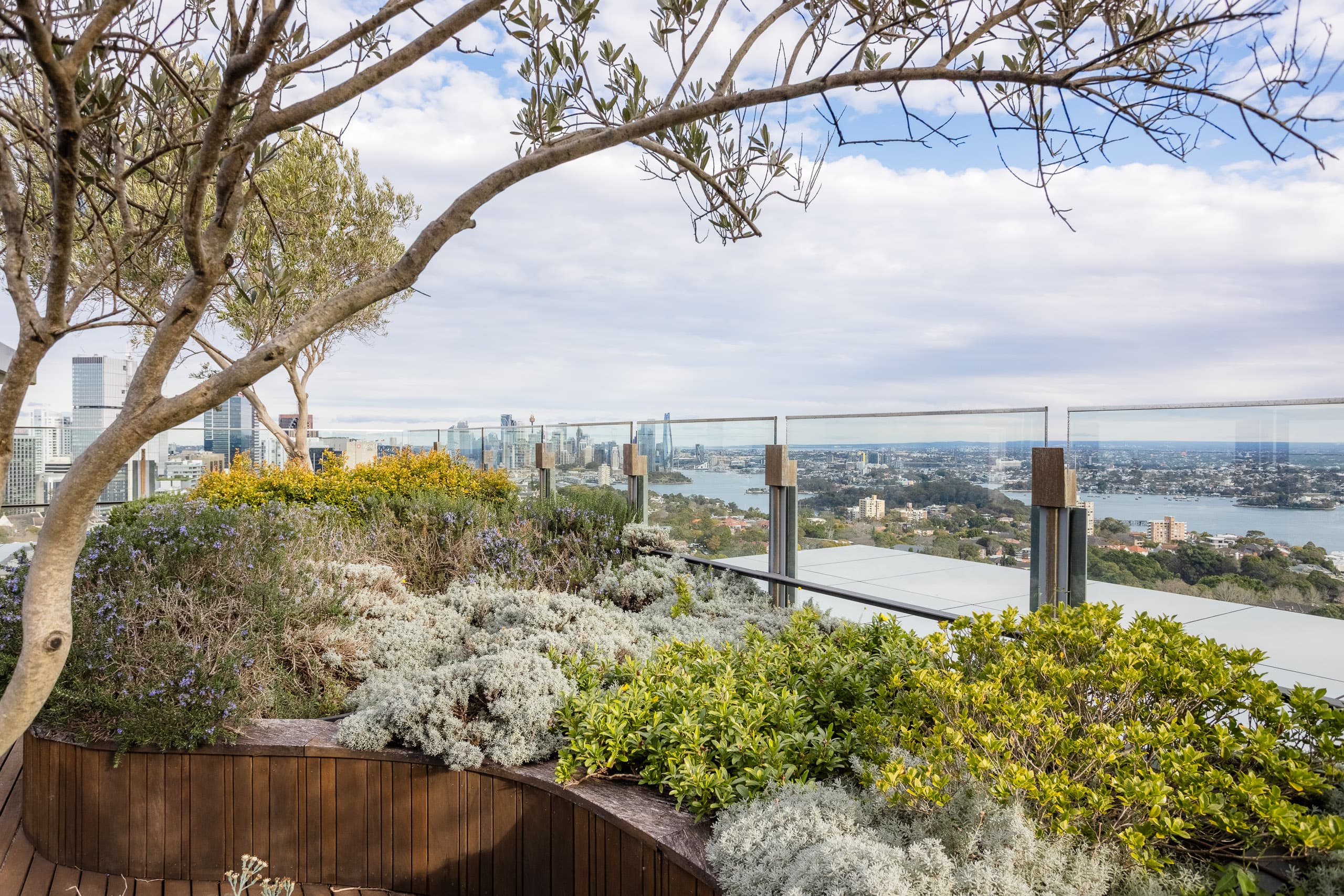 204/220 Pacific Highway, Crows Nest - Thumbnail 8