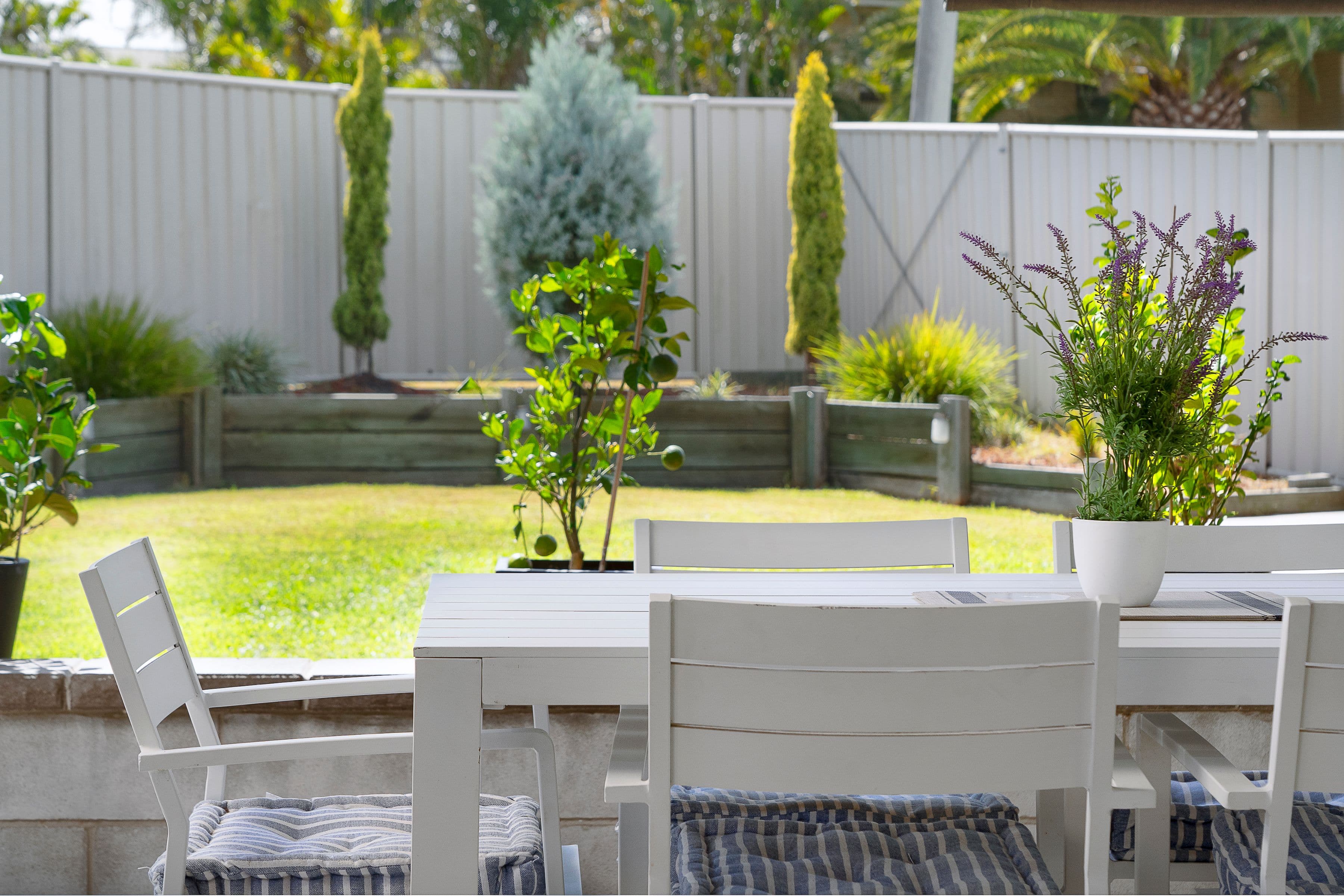 1 Cedar Street, Raceview QLD 4305, Raceview - Thumbnail 4