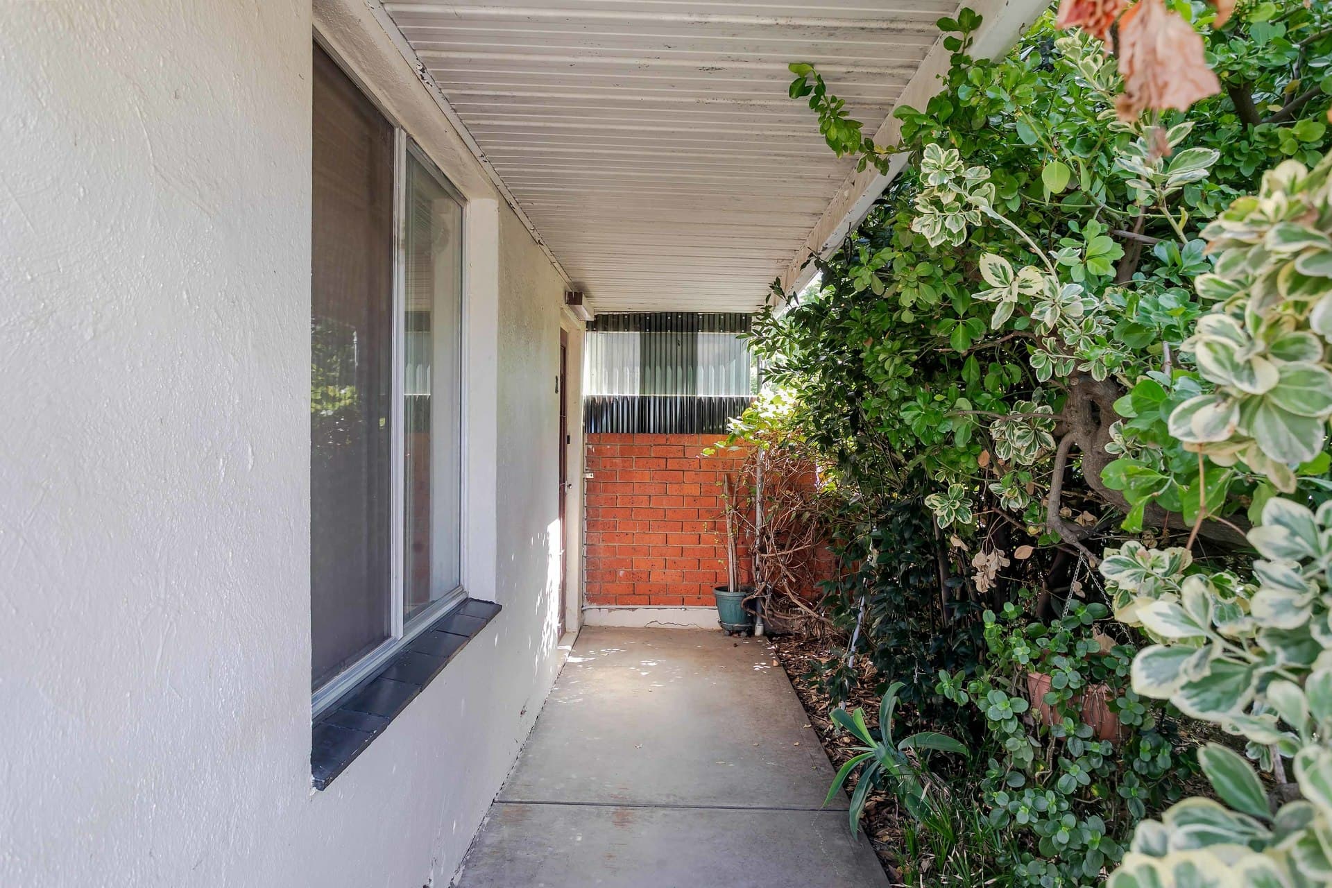 11 Roebuck Street, Mile End, Mile End - Thumbnail 2