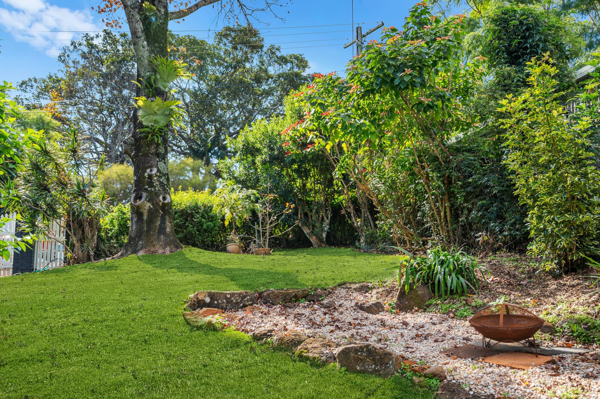 Tamborine Mountain, 4272, Tamborine Mountain - Thumbnail 5