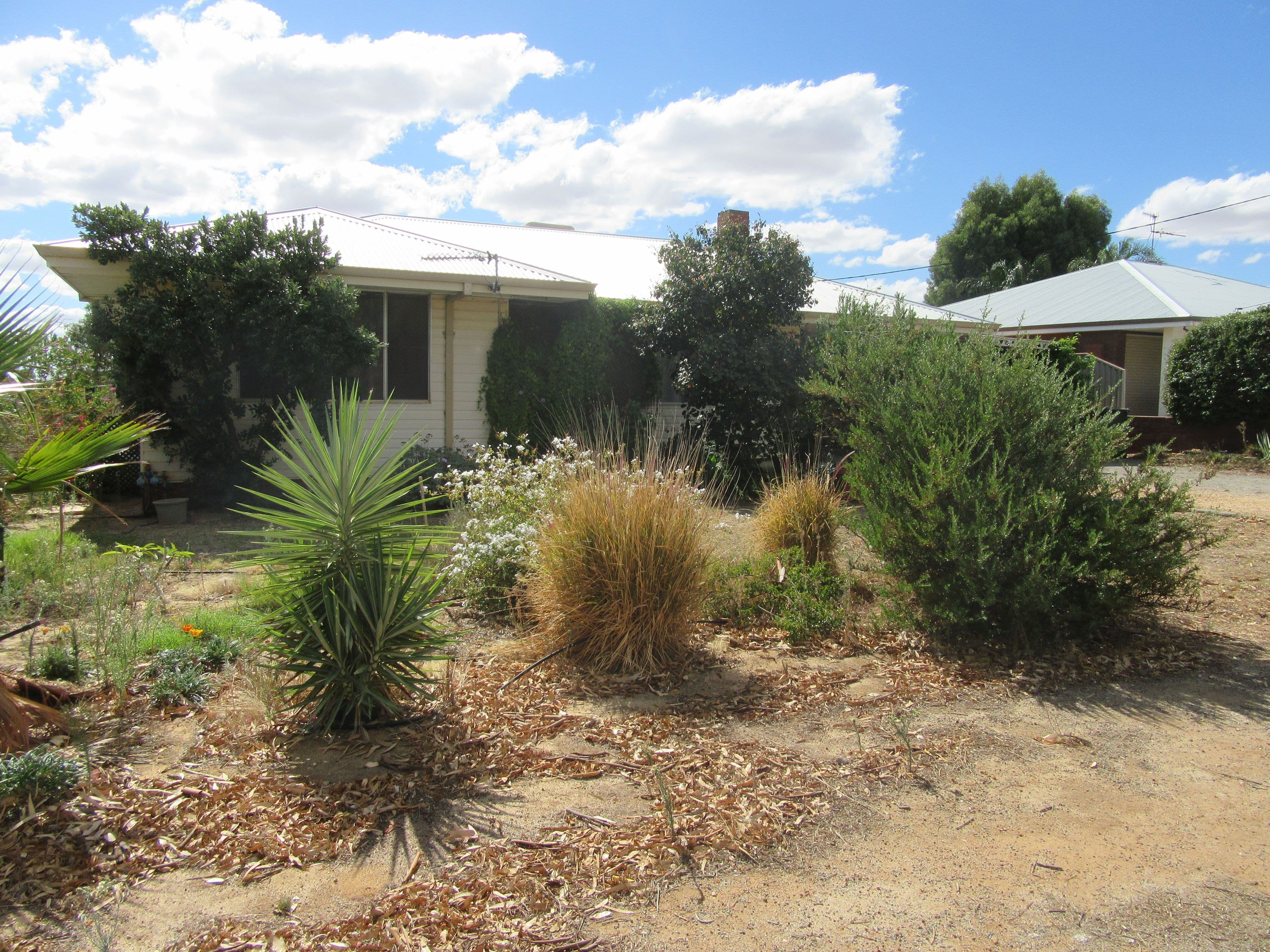 58 MacPherson Street, Carnamah WA 6517, Carnamah - Image 1