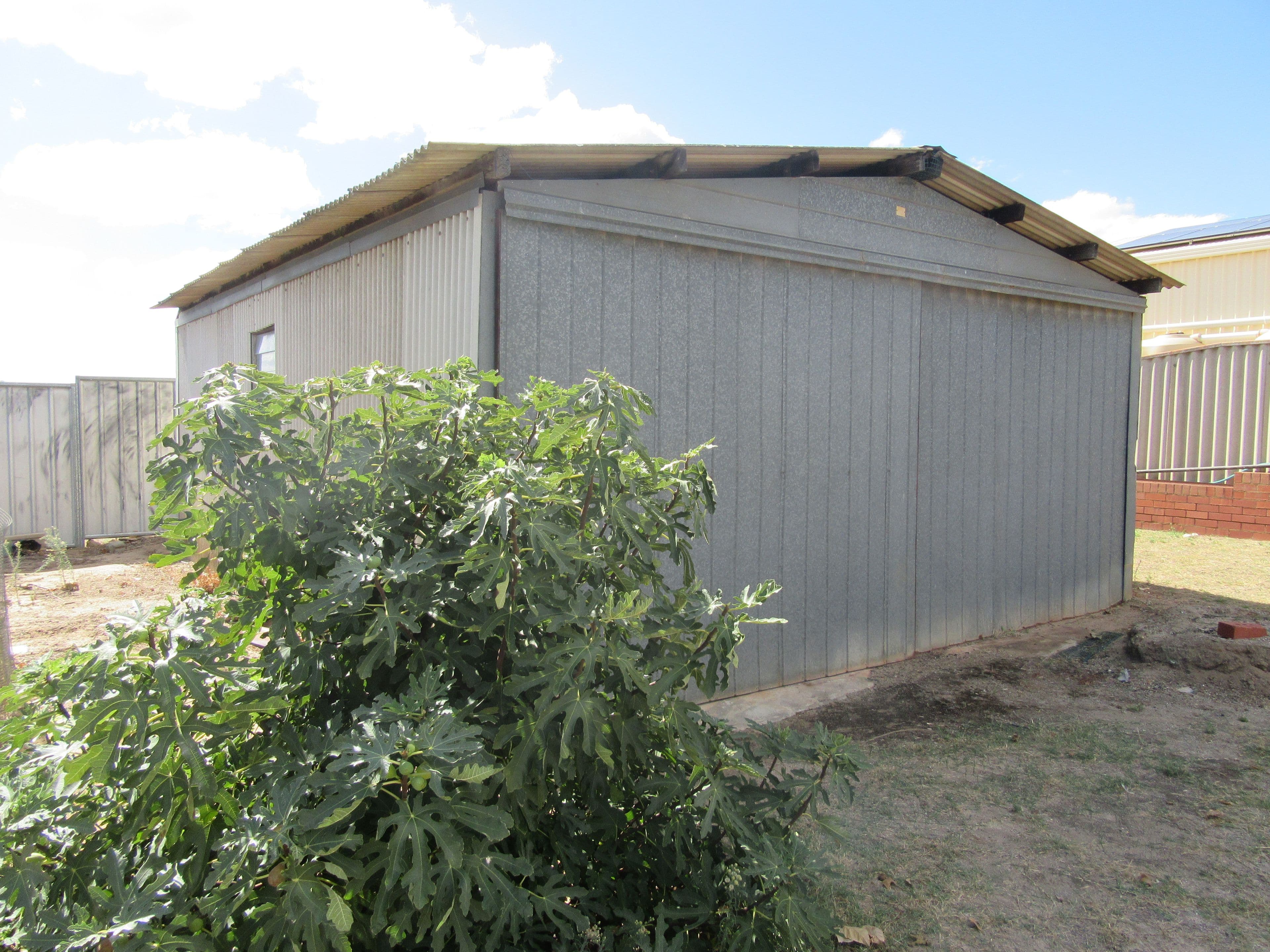 58 MacPherson Street, Carnamah WA 6517, Carnamah - Thumbnail 3