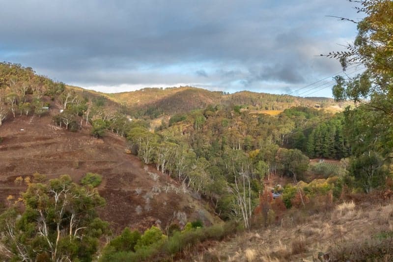 263 Raymonds Road, Basket Range - Thumbnail 8