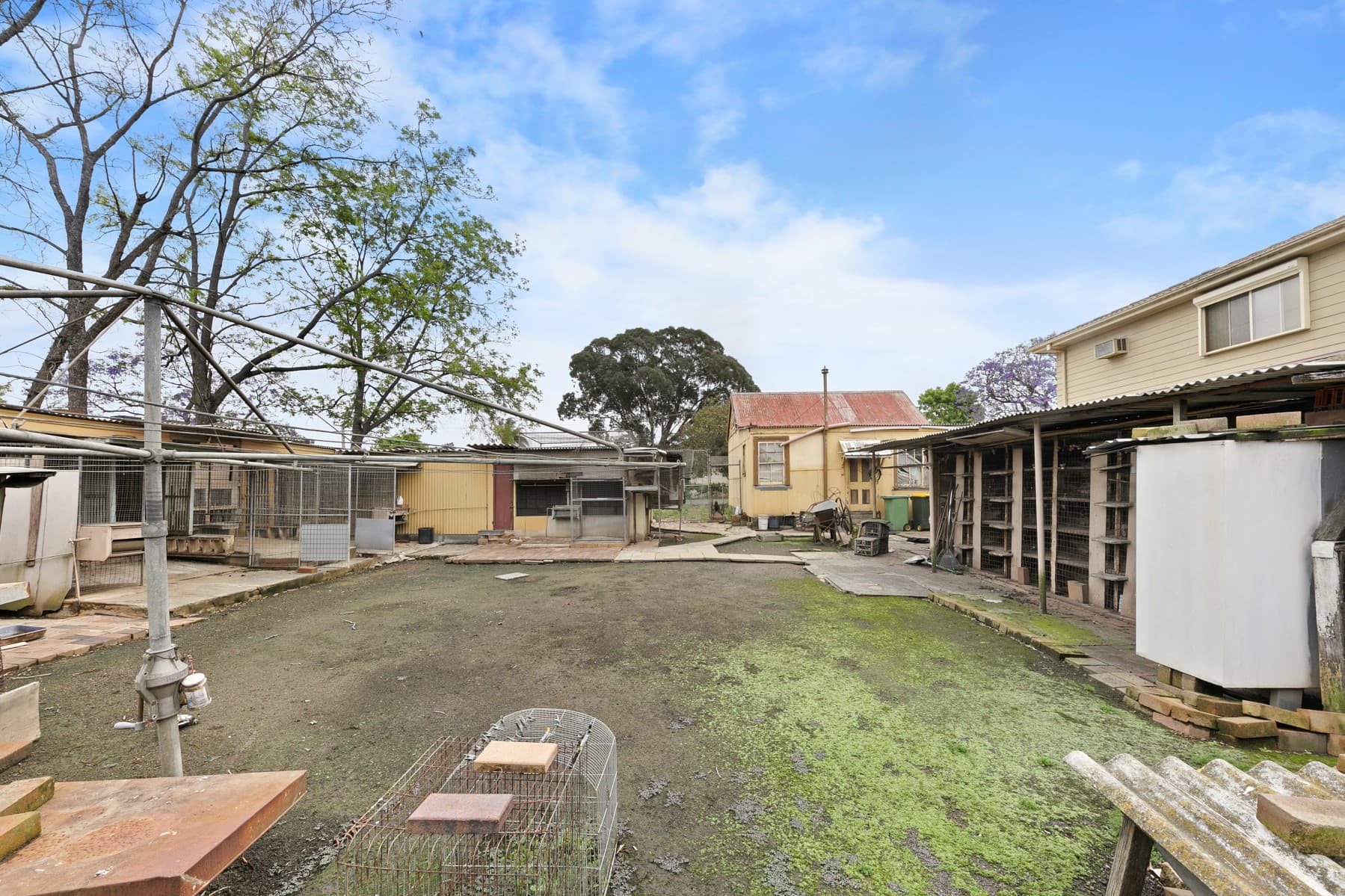 65 Windsor Road, Merrylands - Thumbnail 5