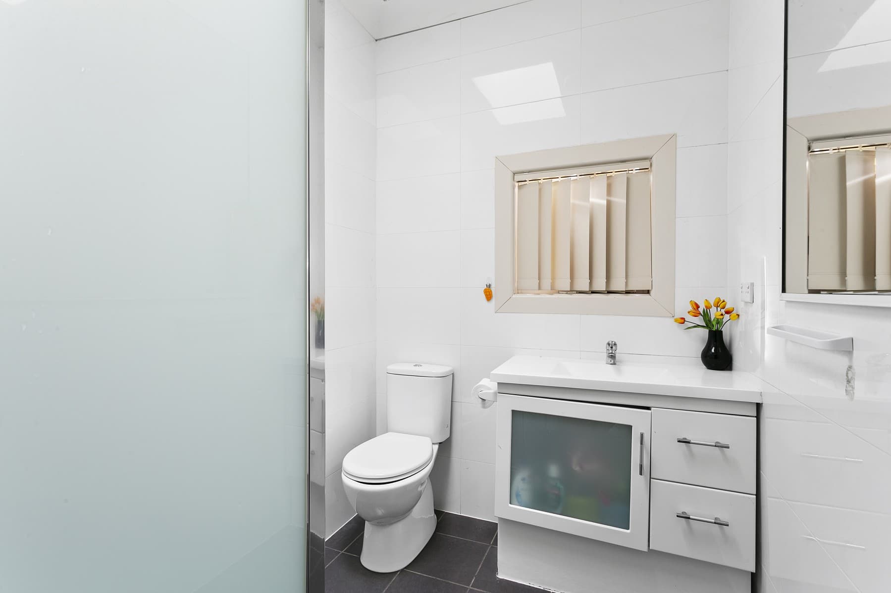 66 Frances Street, South Wentworthville - Thumbnail 6