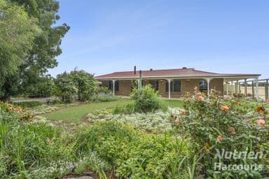 9 Eighth Street, RENMARK, SA 5341, Renmark - Image 1