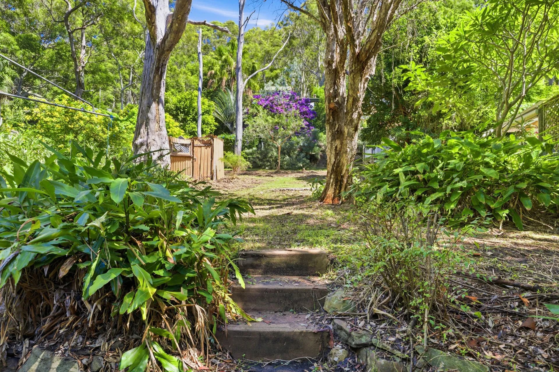 18 Wagstaffe  Avenue, Wagstaffe, NSW, Wagstaffe - Thumbnail 5