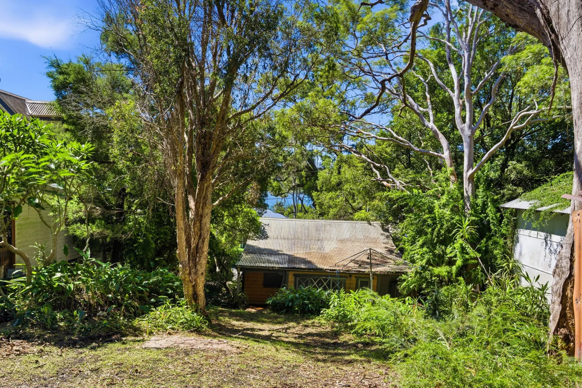 18 Wagstaffe  Avenue, Wagstaffe, NSW, Wagstaffe - Thumbnail 6