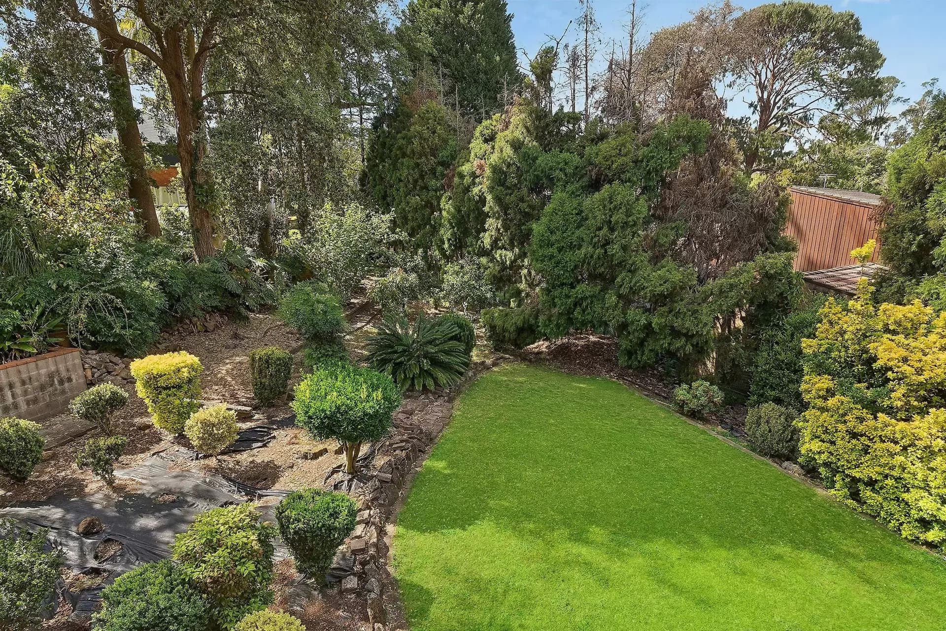 17 Parkwood Grove, West Pymble - Thumbnail 4