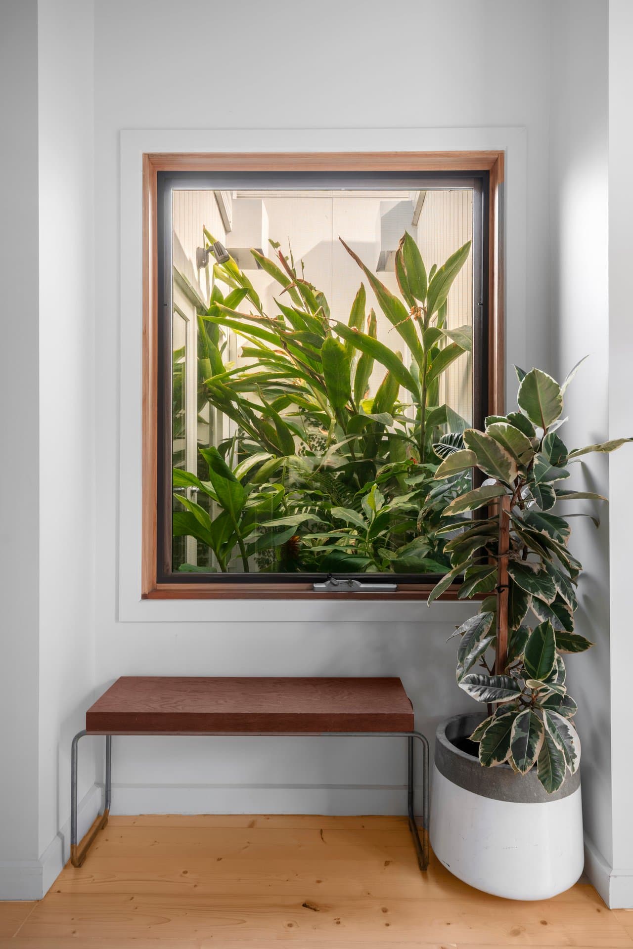 449 Albert Street, Brunswick - Thumbnail 8