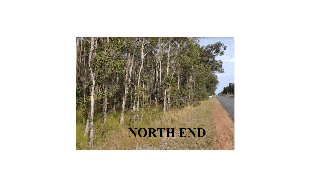Lot 1 Wooli Road, Wooli, NSW, 2462, Wooli - Thumbnail 2