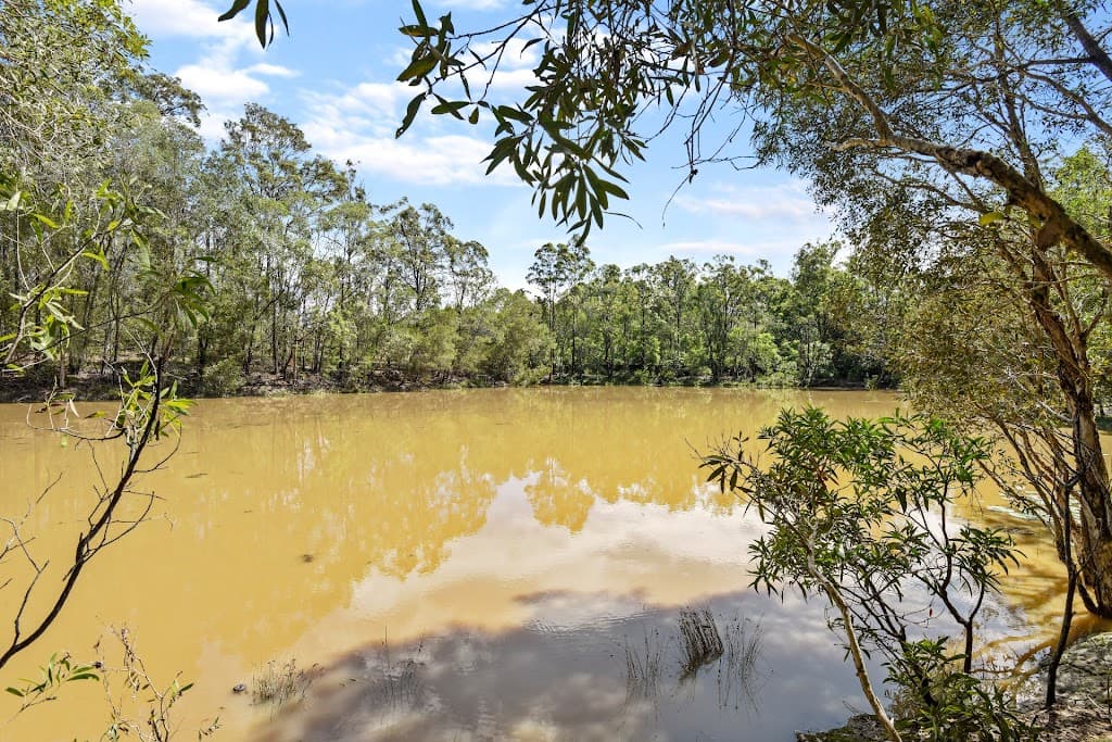 20 Murphys Lane, Oxenford, QLD, 4210, Oxenford - Thumbnail 2