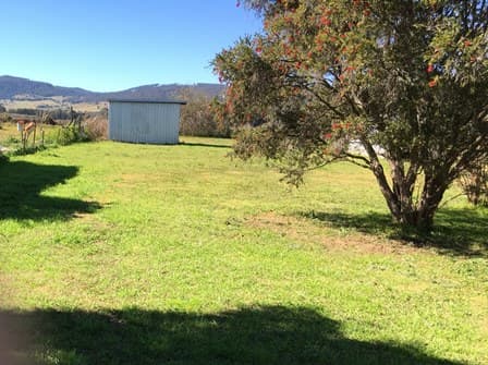 29 Willow Street, Killarney, QLD, 4373, Killarney - Thumbnail 3