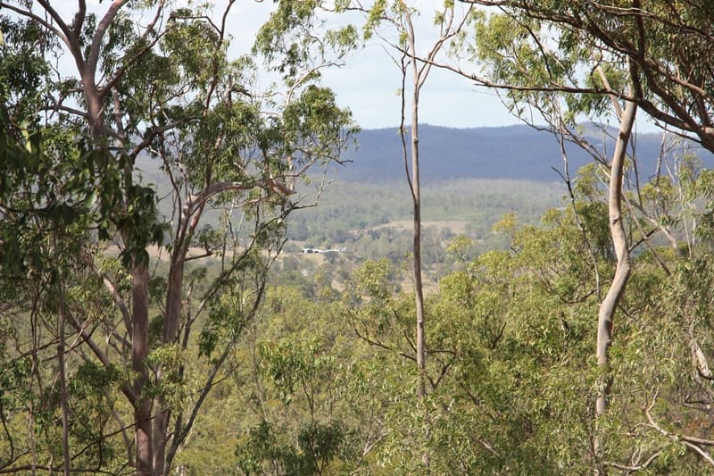 350 Hoopers Road, Curra - Image 1