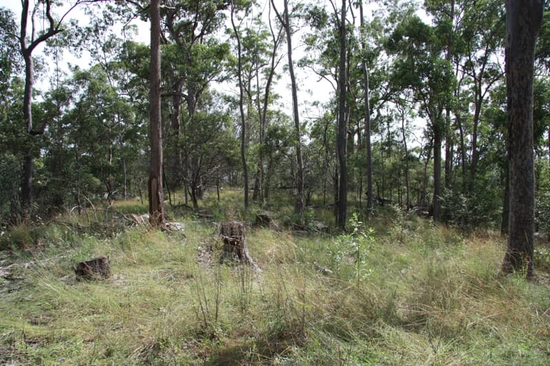350 Hoopers Road, Curra - Thumbnail 3