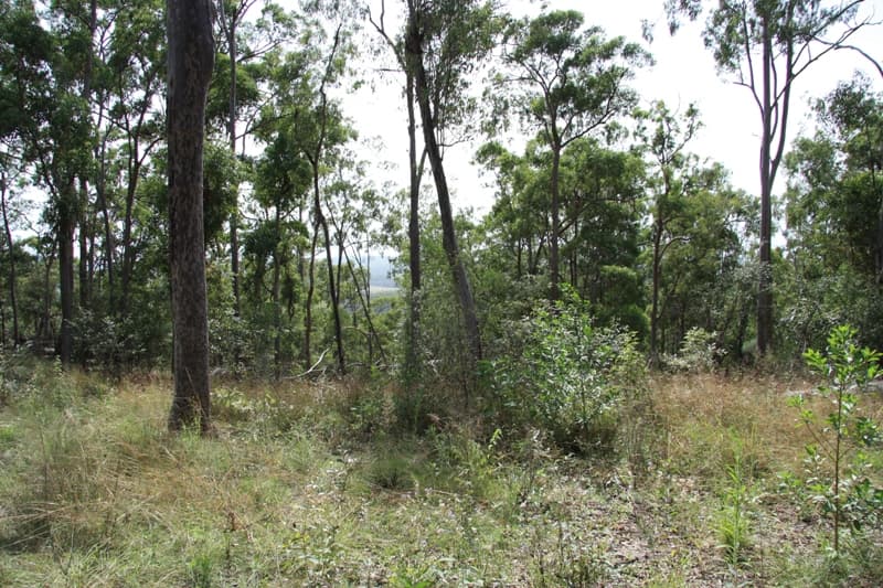 350 Hoopers Road, Curra - Thumbnail 4