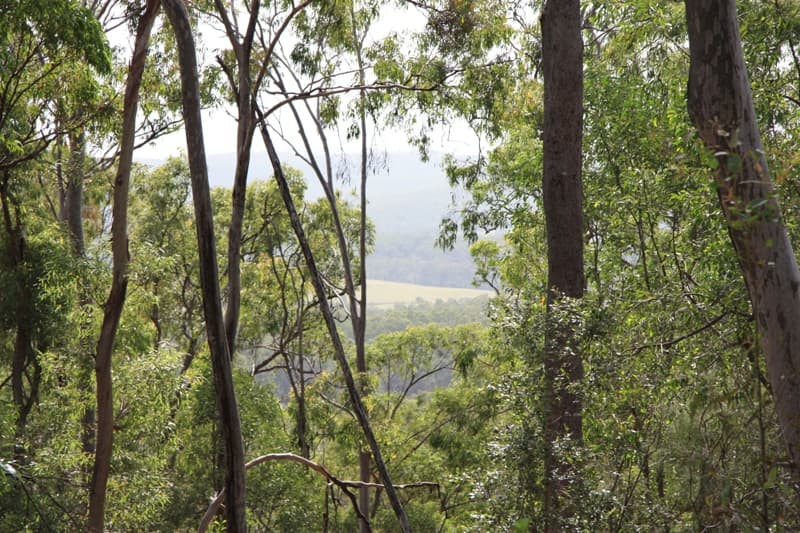 350 Hoopers Road, Curra - Thumbnail 5