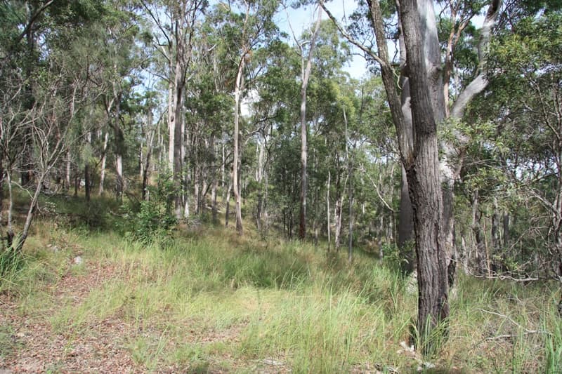 350 Hoopers Road, Curra - Thumbnail 6