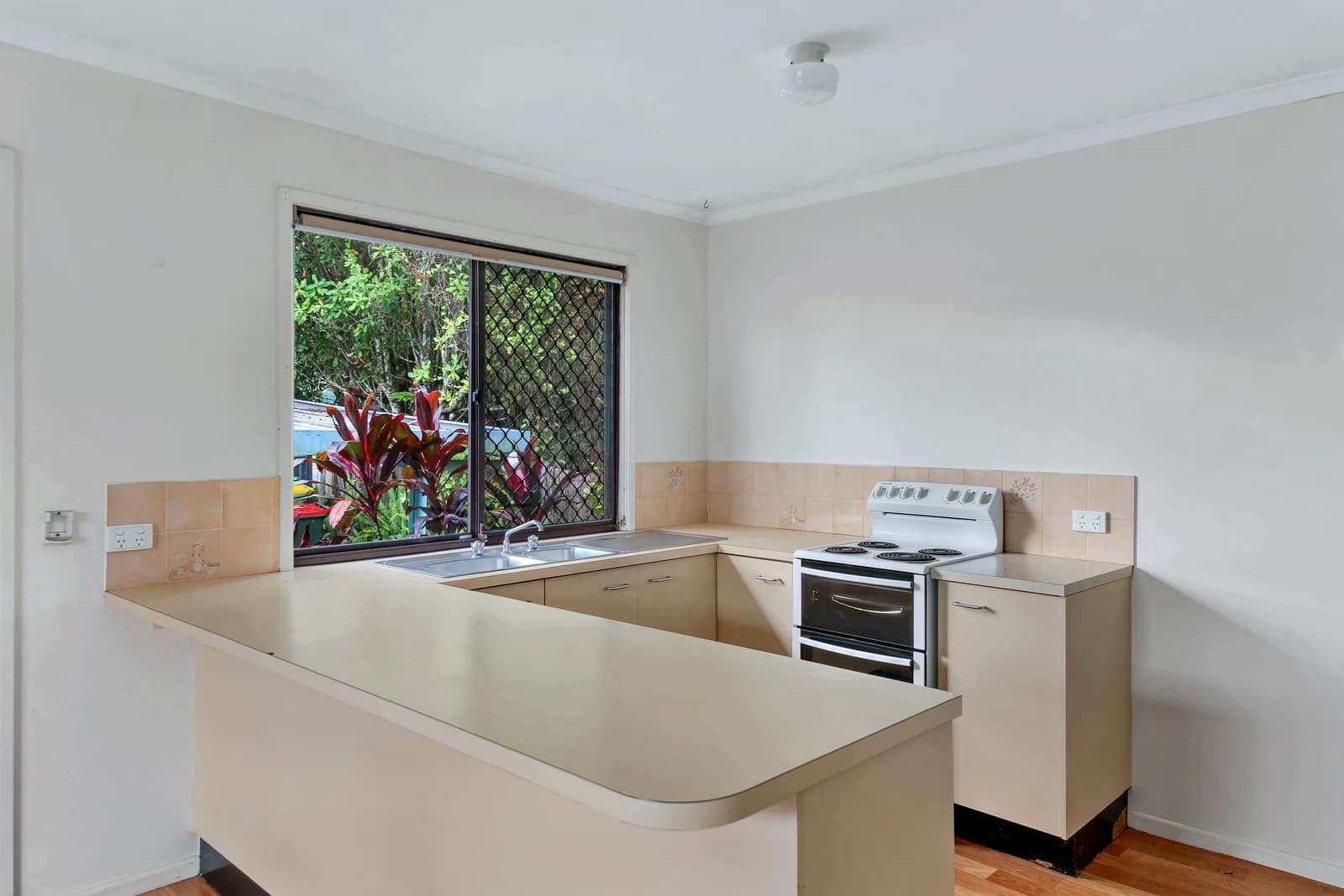 21 Paget Street, Mooloolah Valley, QLD, 4553, Mooloolah Valley - Thumbnail 3