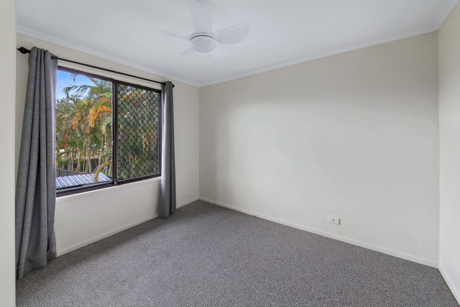 21 Paget Street, Mooloolah Valley, QLD, 4553, Mooloolah Valley - Thumbnail 6