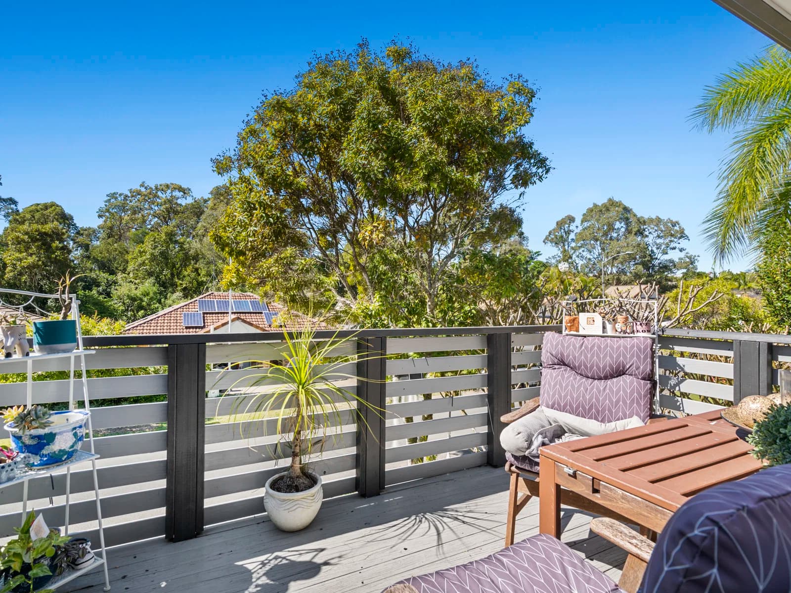 7 Castagno Avenue, Nerang, QLD, 4211, Nerang - Thumbnail 7